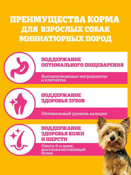 Pedigree сухой корм для взрослых собак миниатюрных пород с говядиной - 1,2 кг