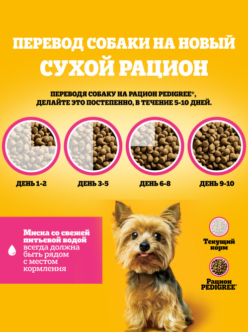 Pedigree сухой корм для взрослых собак миниатюрных пород с говядиной - 1,2 кг