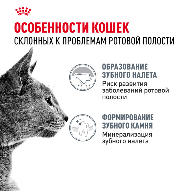 Royal Canin Dental Care сухой корм для взрослых кошек для поддержания здоровья ротовой полости - 400 г