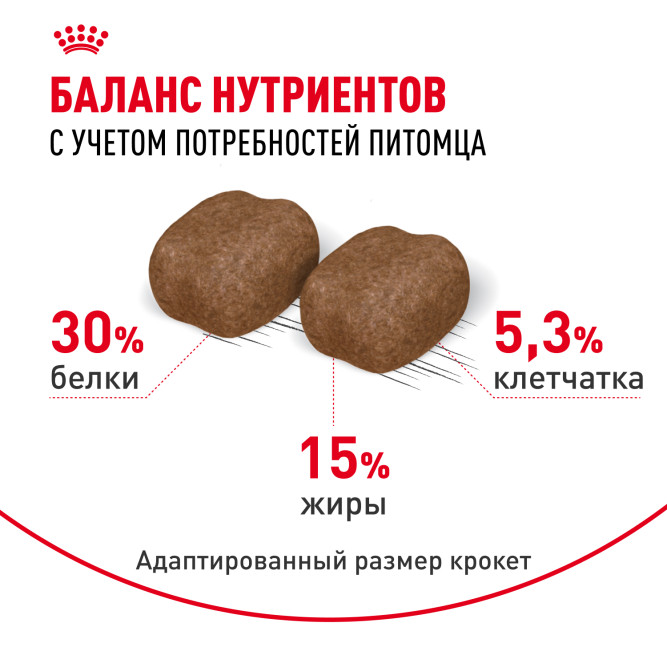 Royal Canin Dental Care сухой корм для взрослых кошек для поддержания здоровья ротовой полости - 400 г