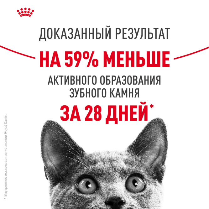 Royal Canin Dental Care сухой корм для взрослых кошек для поддержания здоровья ротовой полости - 400 г