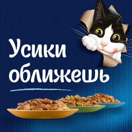 Felix &quot;Аппетитные кусочки&quot; Двойная вкуснятина влажный корм для взрослых кошек с лососем и форелью в желе, в паучах - 75 г х 26 шт