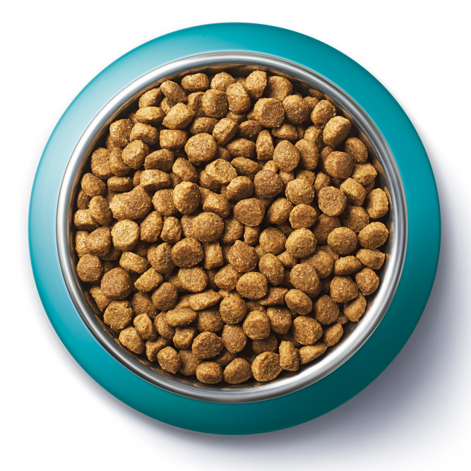 Purina One сухой корм для домашних кошек с индейкой и цельными злаками - 3 кг