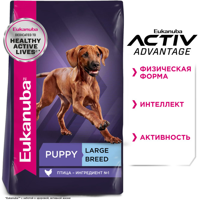 Сухой корм Eukanuba Puppy Large Breed для щенков крупных пород с курицей - 15 кг