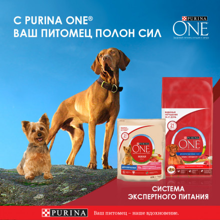 Purina ONE Мини паучи для собак мелких пород с активным образом жизни с говядиной  - 85 г х 26 шт
