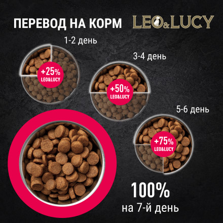 LEO&amp;LUCY сухой холистик корм для взрослых и пожилых собак всех пород с индейкой и ягодами - 4,5 кг