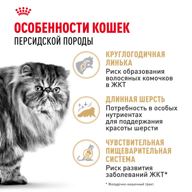Royal Canin Persian сухой корм для взрослых кошек персидской породы - 10 кг
