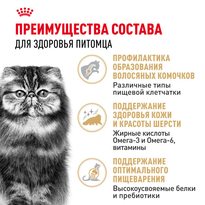Royal Canin Persian сухой корм для взрослых кошек персидской породы - 10 кг
