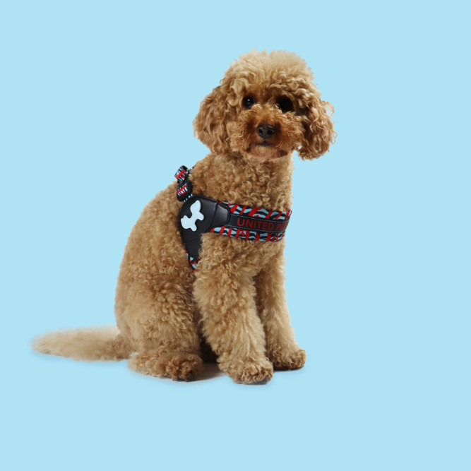 United Pets Complete me шлейка для собак, S 42 x 44-58 см, красная зебра