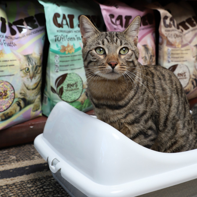 Cat Step Tofu Green Tea наполнитель растительный комкующийся с ароматом зеленого чая - 12 л (5,5 кг)