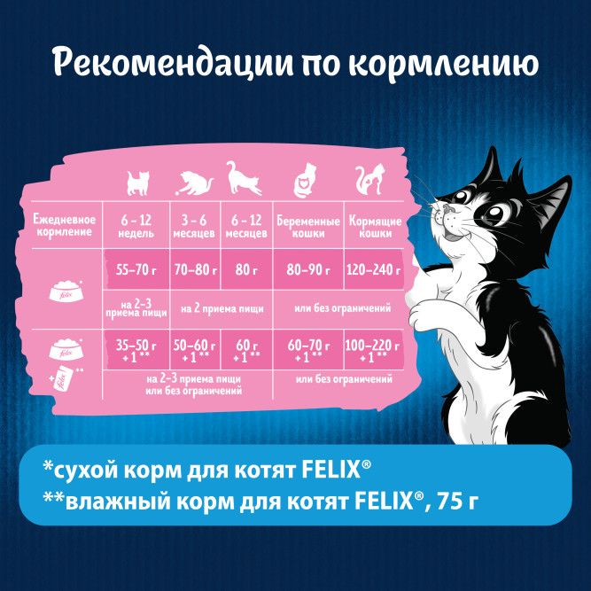 Сухой корм Felix Двойная вкуснятина для котят с курицей - 600 г