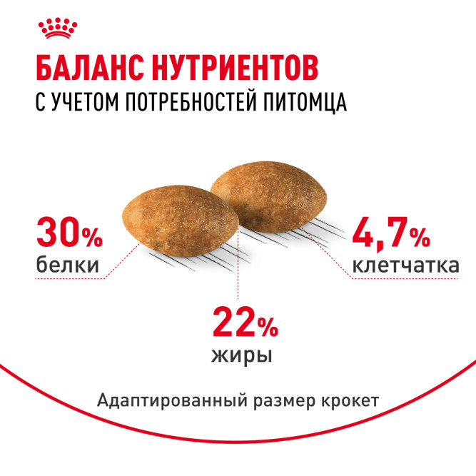 Royal Canin Persian 30 для Персидских кошек старше 12 месяцев - 2 кг