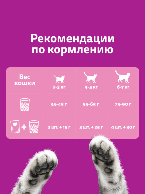 Whiskas Вкусные подушечки с нежным паштетом сухой корм для взрослых кошек Аппетитное ассорти с курицей и индейкой - 350 г
