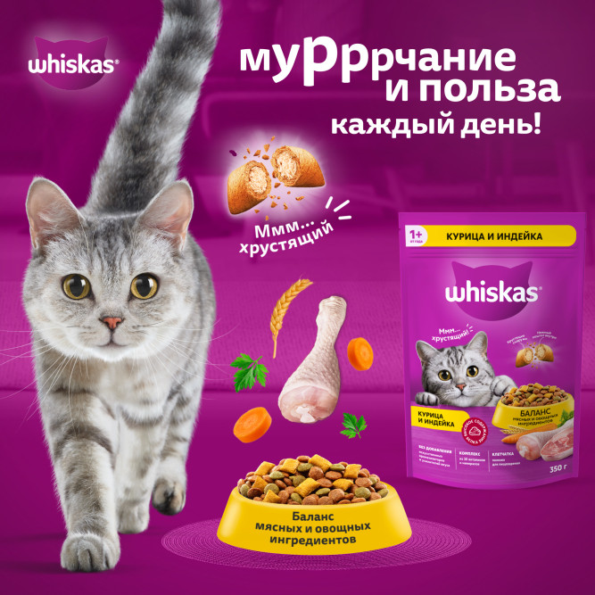 Whiskas Вкусные подушечки с нежным паштетом сухой корм для взрослых кошек Аппетитное ассорти с курицей и индейкой - 350 г