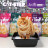 Cat Step Arctic Lavender наполнитель силикагелевый впитывающий с ароматом лаванды - 3,8 л (1,7 кг)