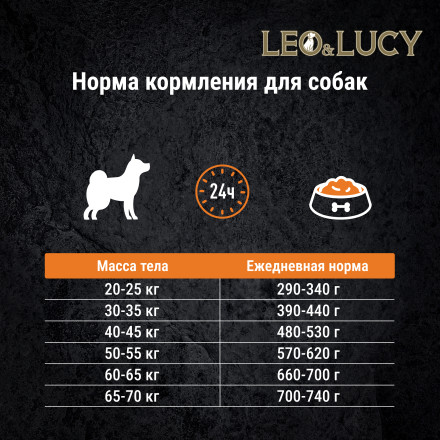 LEO&amp;LUCY сухой холистик корм для взрослых собак средних пород с кроликом и тыквой - 12 кг