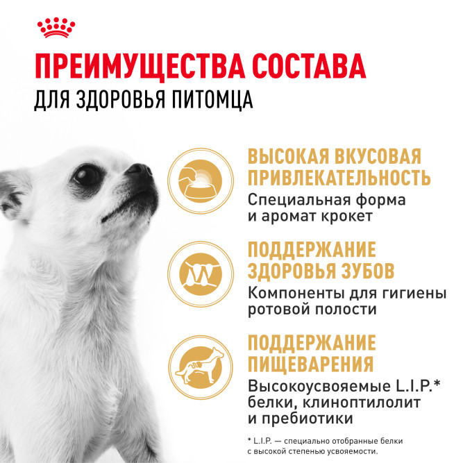 Royal Canin Chihuahua Adult сухой корм для собак породы чихуахуа в возрасте 8 месяцев - 1,5 кг