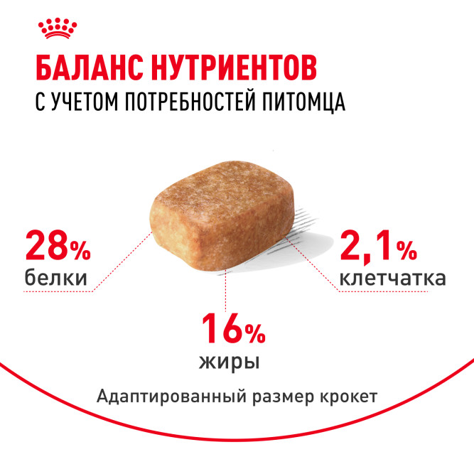 Royal Canin Chihuahua Adult сухой корм для собак породы чихуахуа в возрасте 8 месяцев - 1,5 кг
