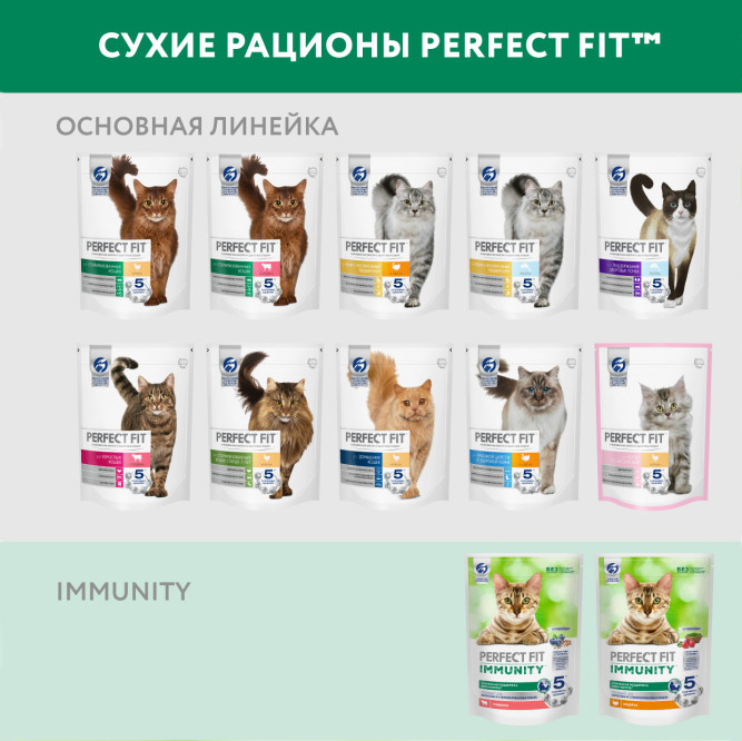 Perfect Fit Immunity сухой корм для поддержания иммунитета кошек, с говядиной, семенами льна и голубикой - 5,5 кг