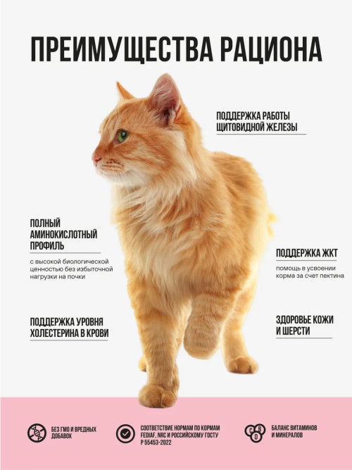 BOWL WOW сухой корм для взрослых кошек с индейкой, курицей и яблоком - 8 кг