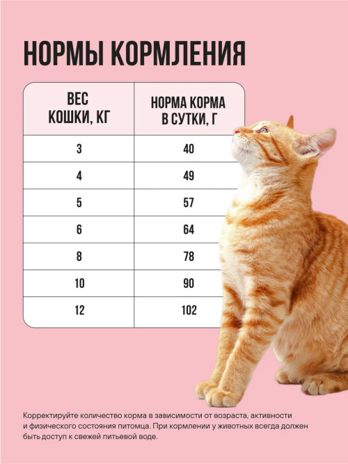 BOWL WOW сухой корм для взрослых кошек с индейкой, курицей и яблоком - 8 кг