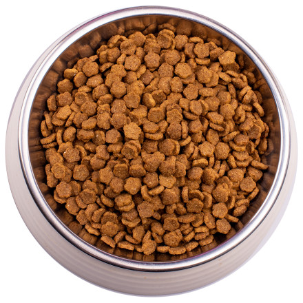 Gemon Cat Urinary сухой корм для взрослых кошек для профилактики мочекаменной болезни с курицей и рисом 400 г