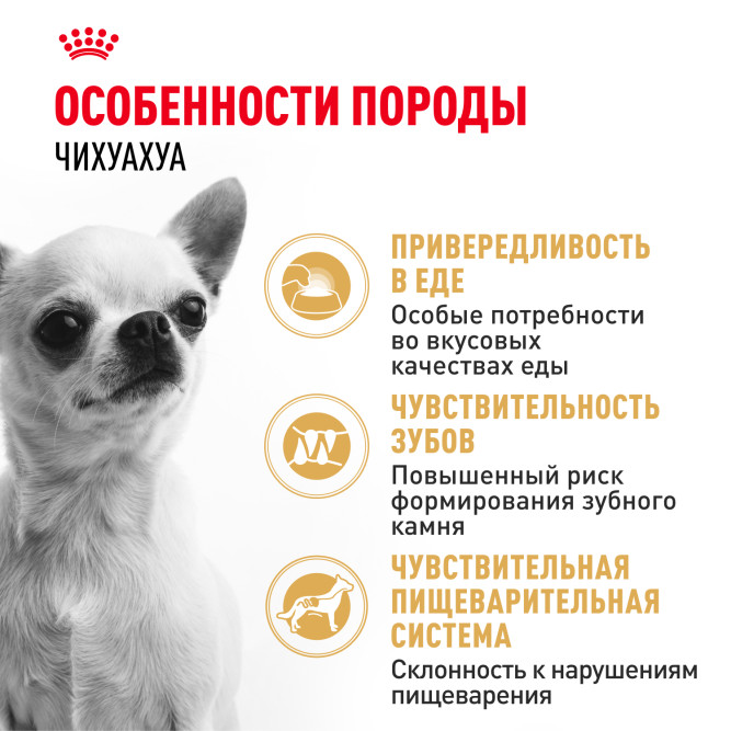 Royal Canin Chihuahua Adult сухой корм для взрослых собак породы чихуахуа - 3 кг