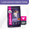 Изображение товара Сухой корм Eukanuba Puppy Medium Breed для щенков средних пород с курицей - 800 г