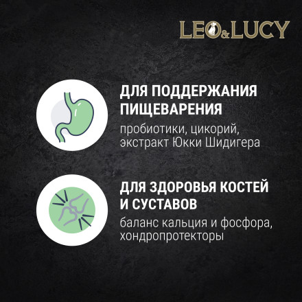 LEO&amp;LUCY сухой холистик корм для взрослых собак средних пород с ягненкоми травами - 12 кг