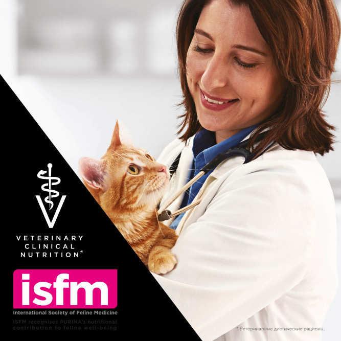 Purina Pro Plan Veterinary Diets NF Renal Function сухой корм для взрослых кошек при заболеваниях почек - 350 г