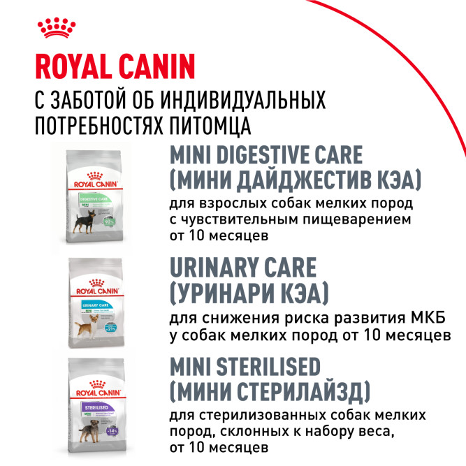 Royal Canin Adult сухой корм для взрослых собак породы чихуахуа - 500 г