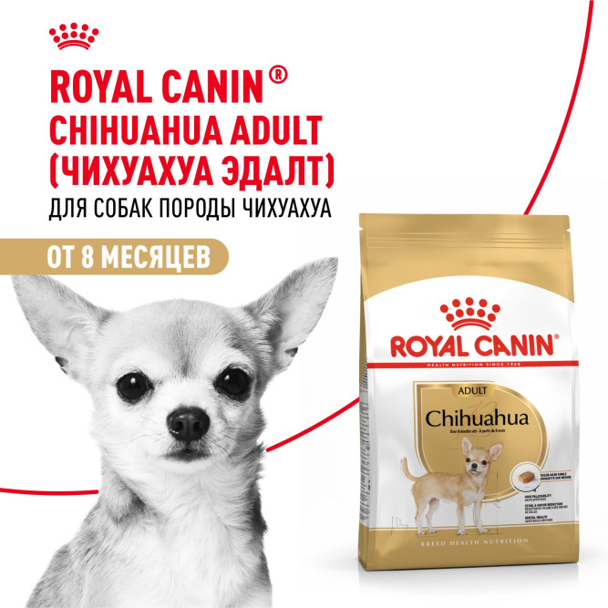 Royal Canin Adult сухой корм для взрослых собак породы чихуахуа - 500 г