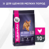 Изображение товара Сухой корм Eukanuba Puppy Small Breed для щенков мелких пород с курицей - 10 кг