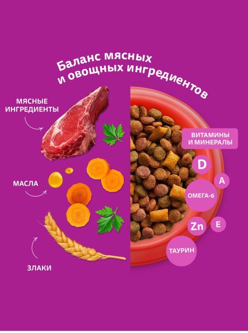 Whiskas Вкусные подушечки с нежным паштетом сухой корм для взрослых кошек Аппетитное ассорти с курицей и индейкой - 800 г