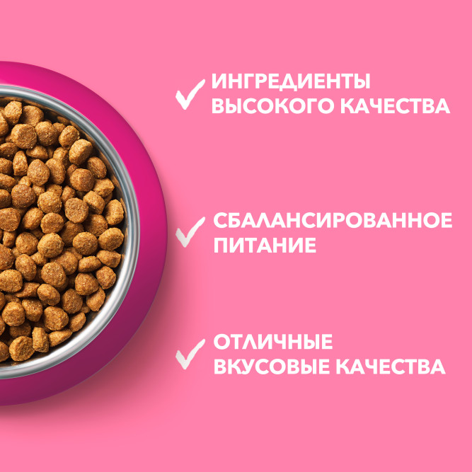 Purina One сухой корм для котят от 1 до 12 месяцев с курицей и цельными злаками - 750 г