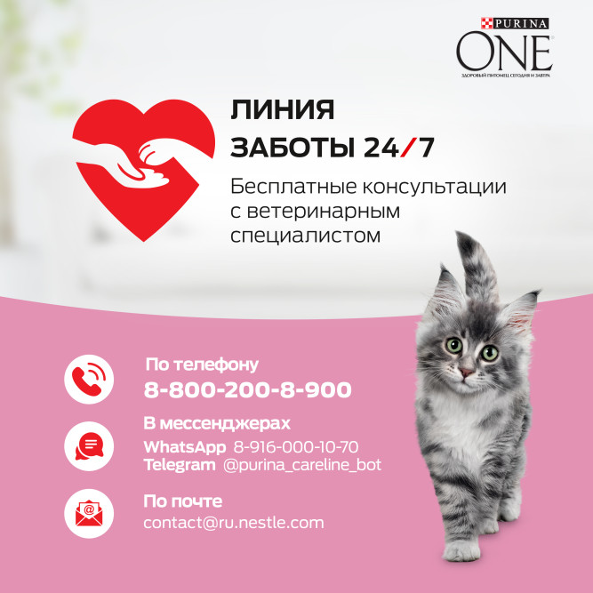 Purina One сухой корм для котят от 1 до 12 месяцев с курицей и цельными злаками - 750 г