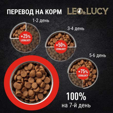 LEO&amp;LUCY сухой холистик корм для взрослых собак крупных пород с ягненком и яблоком - 12 кг