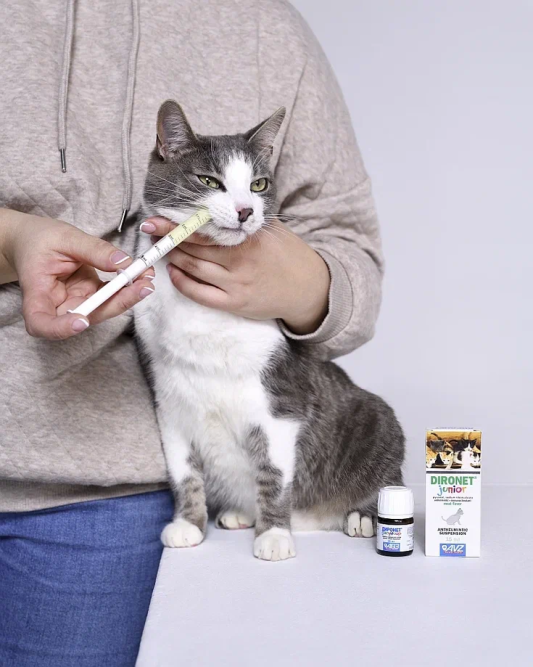 Диронет джуниор антигельминтная суспензия для котят и щенков - 15 мл