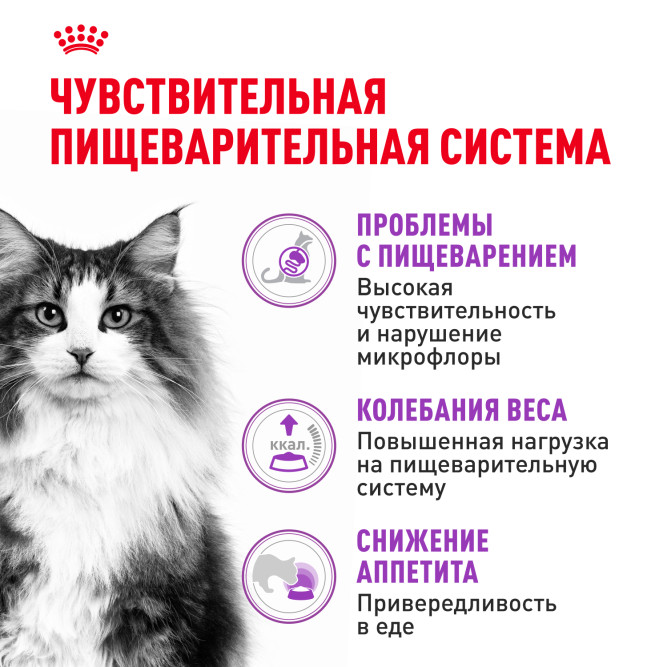 Royal Canin Sensible сухой корм для кошек с чувствительной пищеварительной системой - 15 кг