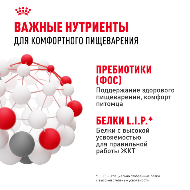 Royal Canin Sensible сухой корм для кошек с чувствительной пищеварительной системой - 15 кг