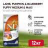 Изображение товара Farmina N&D Pumpkin Dog Grain Free Lamb & Blueberry Puppy Medium & Maxi сухой беззерновой корм для щенков средних и крупных пород с ягненком, черникой и тыквой - 12 кг