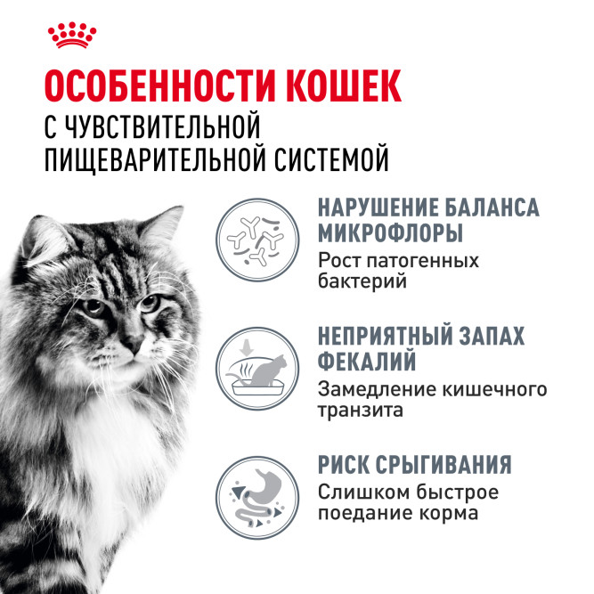 Royal Canin FCN Digestive Care сухой корм для взрослых кошек старше 1 года с чувствительным пищеварением - 400 г