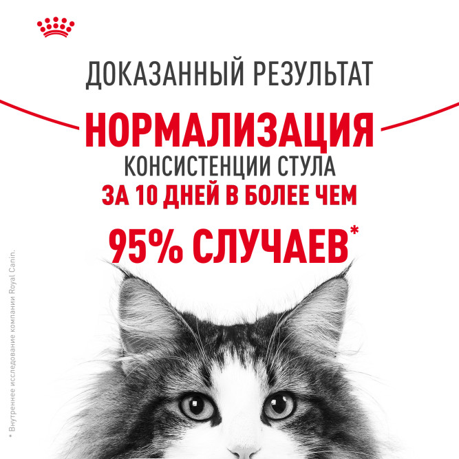 Royal Canin FCN Digestive Care сухой корм для взрослых кошек старше 1 года с чувствительным пищеварением - 400 г