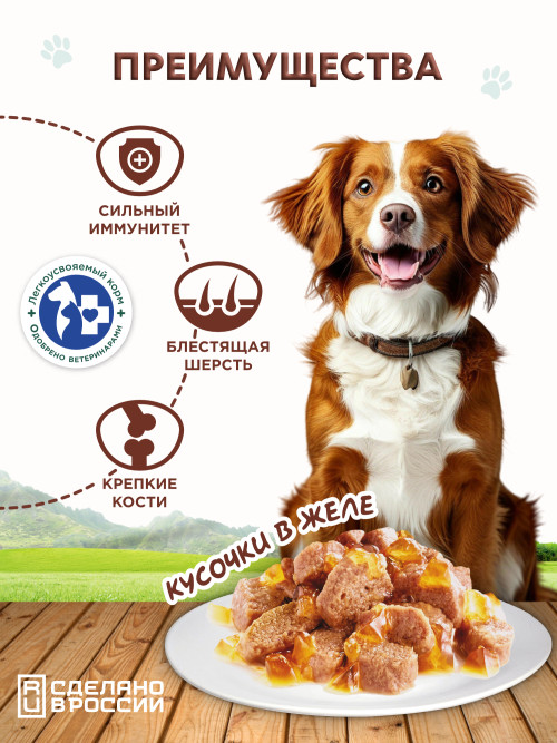 Chester влажный корм для взрослых собак всех пород, мясное ассорти с зелёным горошком, кусочки в желе, в консервах - 850 г х 6 шт