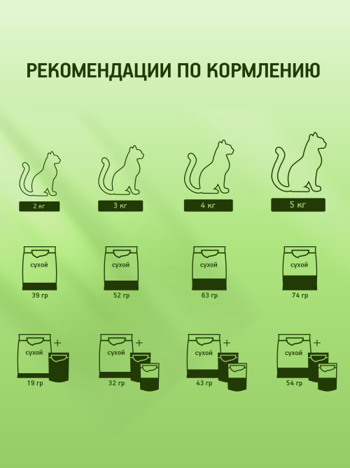 Kitekat сухой корм для взрослых кошек с аппетитной курочкой - 350 г