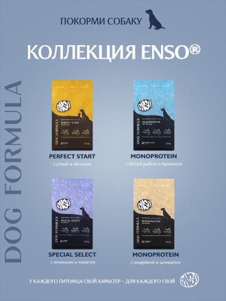 ENSO Dog Formula Monoprotein сухой корм для взрослых собак средних и крупных пород со свежей белой рыбой и добавлением брокколи - 2,5 кг