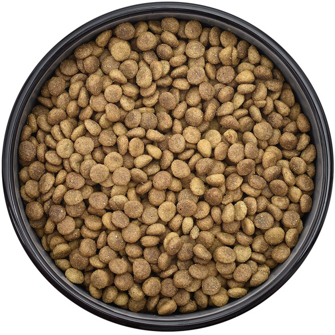 Smart Cat сухой корм для взрослых кошек с ягненком - 400 г