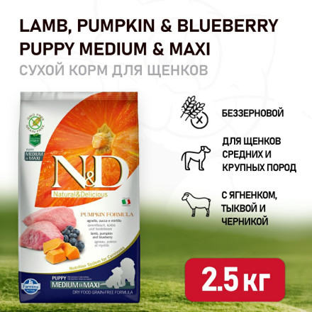 Farmina N&amp;D Pumpkin Dog Grain Free Lamb &amp; Blueberry Puppy Medium &amp; Maxi сухой беззерновой корм для щенков средних и крупных пород с ягненком, черникой и тыквой - 2,5 кг