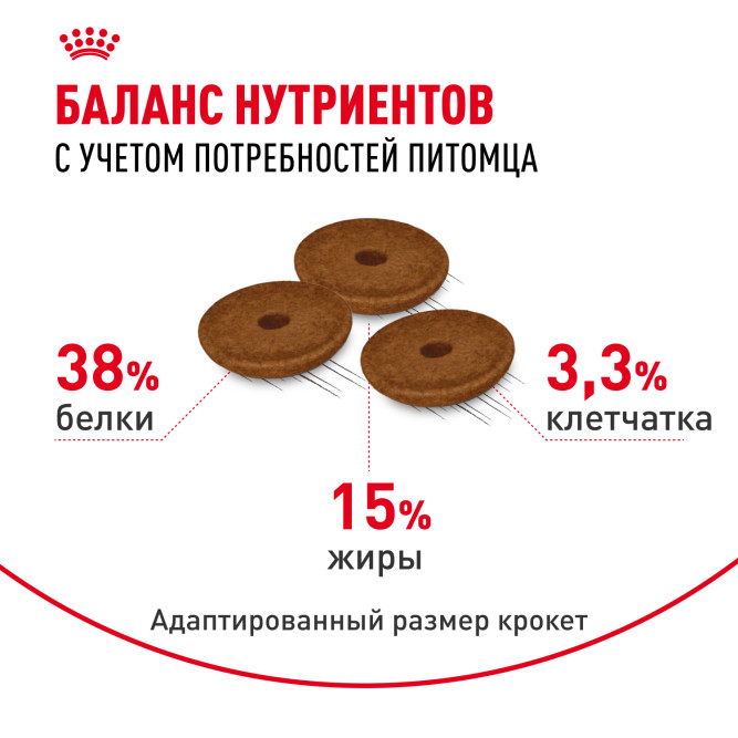 Royal Canin FCN Digestive Care сухой корм для взрослых кошек старше 1 года с чувствительным пищеварением - 2 кг