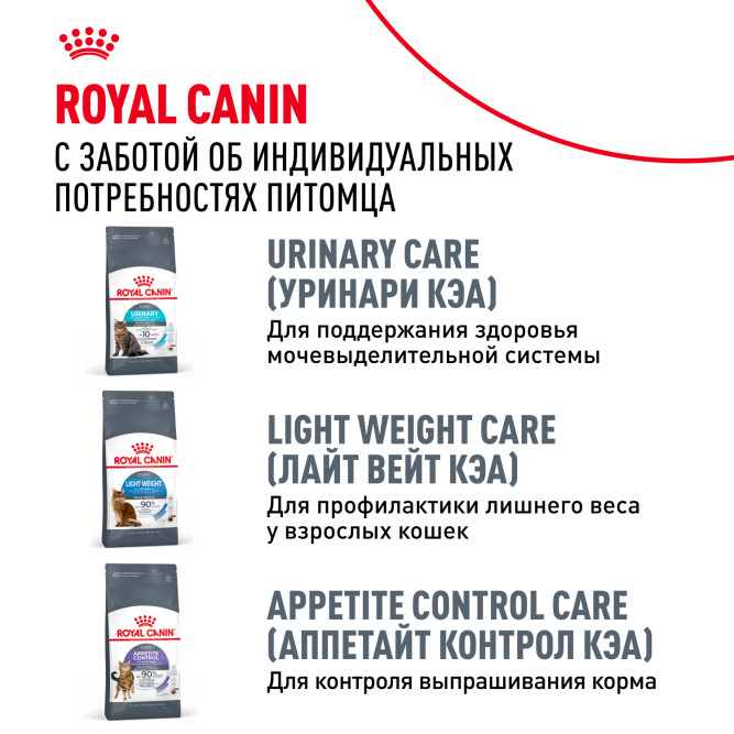 Royal Canin FCN Digestive Care сухой корм для взрослых кошек старше 1 года с чувствительным пищеварением - 2 кг
